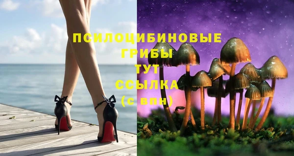 спиды Абаза